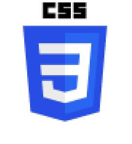 CSS